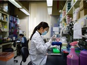 Phát triển vaccine ngăn đại dịch tiếp theo?